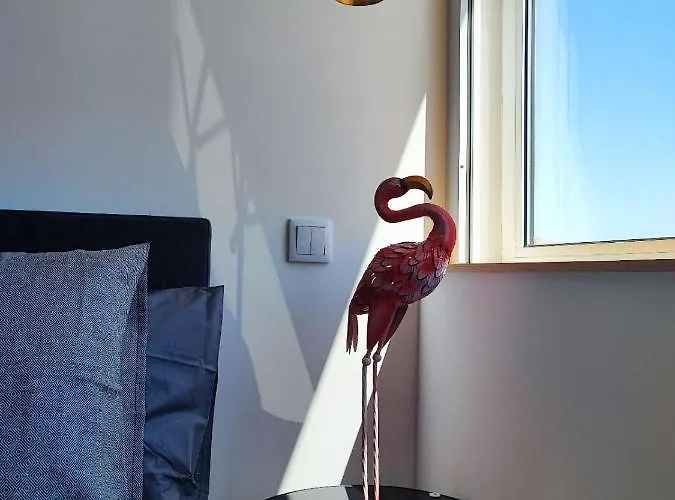 O Flamingo